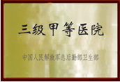 三级甲等医院